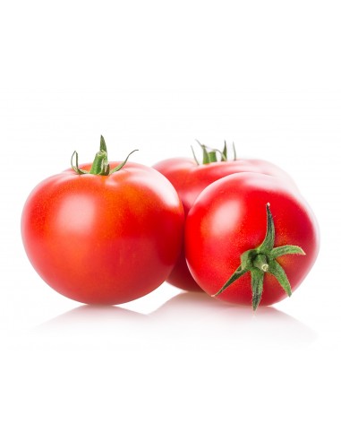 Tomate 西红柿 par kilo